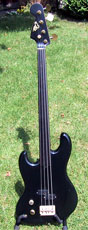 Lefthand EKO fretless