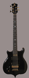 Lefty Alembic Coustom 5-string bass